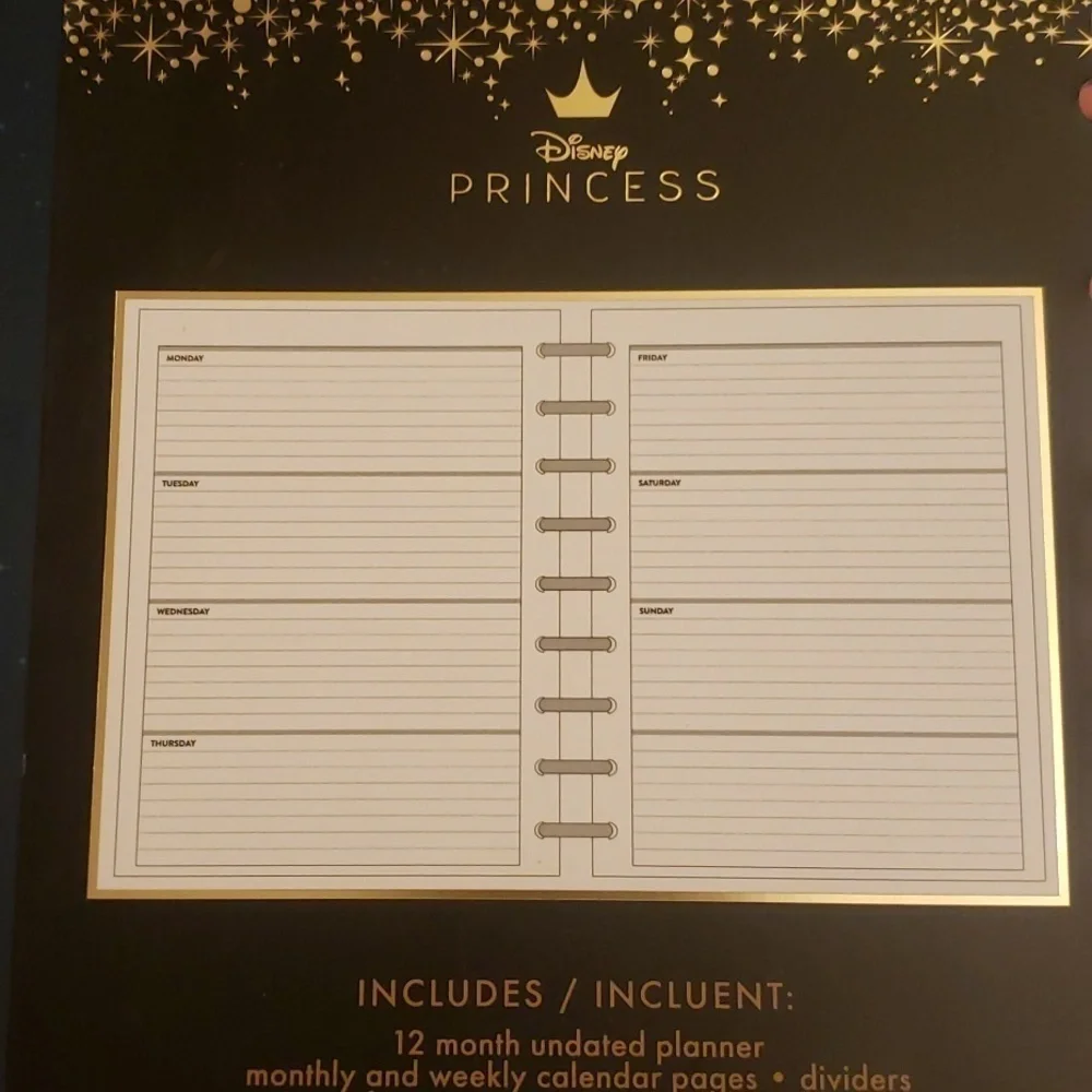 Disney Princess undated planner. New